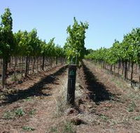 Temple Bruer Winery - Attractions Melbourne