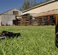 Wilkadene Woolshed Brewery - Attractions Melbourne
