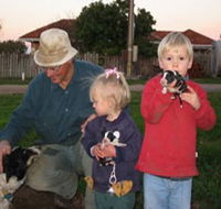 Orrie Cowie Merino and Poll Merino Stud - Attractions Melbourne