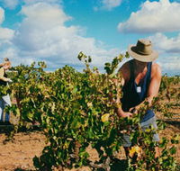 Torbreck Vintners - Attractions Melbourne