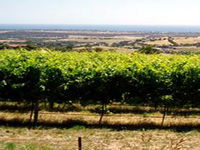 Book Hackham Accommodation Vacations Attractions Melbourne Attractions Melbourne