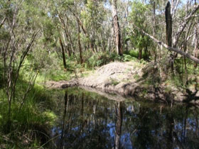 Adelaide City SA Attractions Melbourne