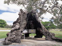Book Springton Accommodation Vacations Attractions Melbourne Attractions Melbourne