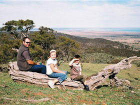 Bridle Track - Attractions Melbourne 0
