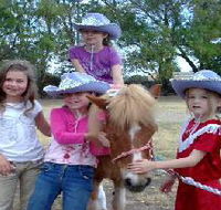 Amberainbow Pony Rides - Attractions Melbourne