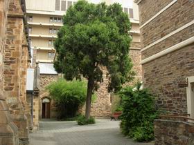 Flinders Street Baptist Church - Attractions Melbourne 0