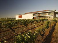 Zema Estate