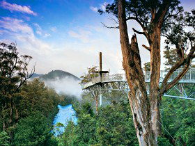  Attractions Melbourne