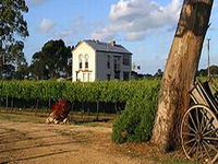 Highbank Vineyards