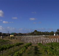 Deep Creek Wines and Alpacas - Attractions Melbourne