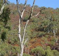 Black Hill Conservation Park - Attractions Melbourne