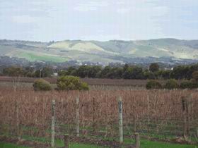 Mclaren Vale Premium Wines - Attractions Melbourne 0