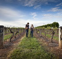 Coonawarra Wineries Walking Trail - Attractions Melbourne