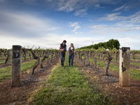 Coonawarra Wineries Walking Trail