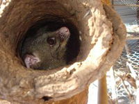 Mulga Sanctuary and Wildlife Park
