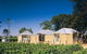 Yalumba Coonawarra Estate - thumb 0