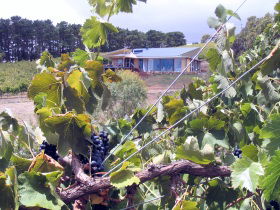 Zimmermann Wine - Attractions Melbourne 0