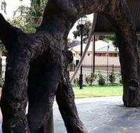 Old Gum Tree - Attractions Melbourne