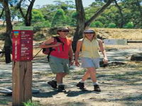 Riesling Trail