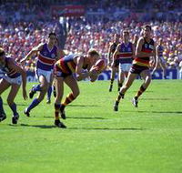 AAMI Stadium Tours - Attractions Melbourne