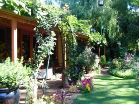 Rainforest Retreat - Attractions Melbourne 0