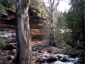 Mount Remarkable National Park - Attractions Melbourne 0
