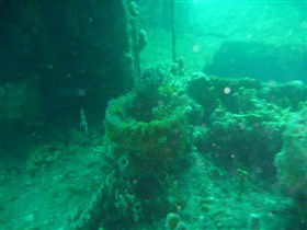 Wallaroo Scuba Club - Attractions Melbourne 0