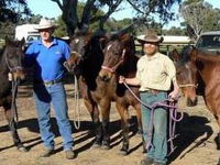 Book Coffin Bay Accommodation Vacations Attractions Melbourne Attractions Melbourne