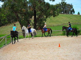 Megan Jones Riding School And Trail Rides - Attractions Melbourne 0