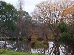 Gemtree Wetlands Ecotrail - Attractions Melbourne 0