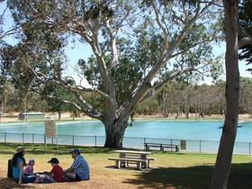 Naracoorte Nature Park And Swimming Lake - Attractions Melbourne 0