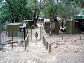 Humbug Scrub Wildlife Sanctuary - Attractions Melbourne 0