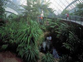 Bicentennial Conservatory - Attractions Melbourne 0