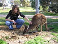 Book Keith Accommodation Vacations Attractions Melbourne Attractions Melbourne