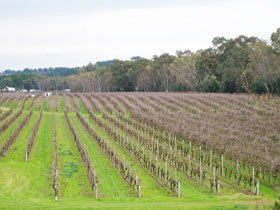 Dennis Wines - Attractions Melbourne 0