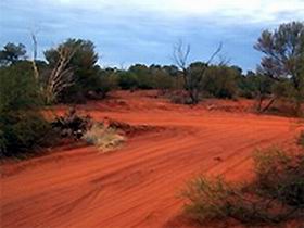 Tallaringa Conservation Park - Attractions Melbourne 0