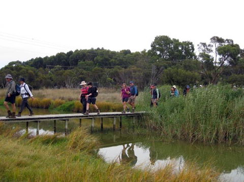 Lavender Federation Trail - Attractions Melbourne 1