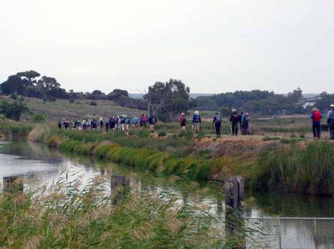Lavender Federation Trail - Attractions Melbourne 2