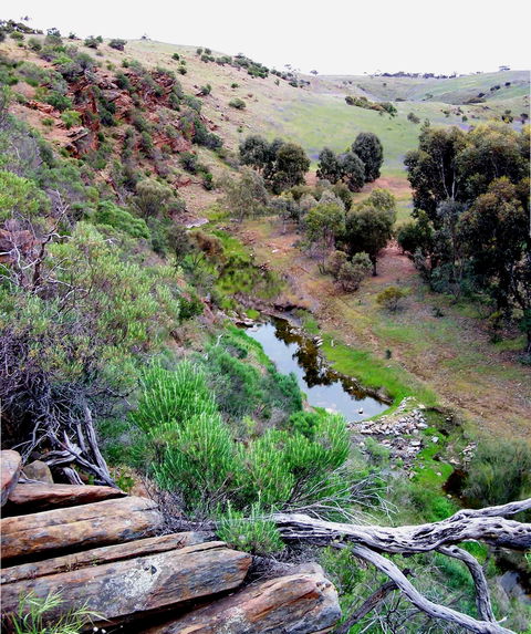 Lavender Federation Trail - Attractions Melbourne 3