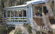 Maggie Beer's Farm Shop - thumb 1