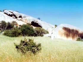 Ucontitchie Hill - Attractions Melbourne 0