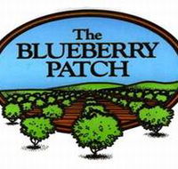 The Blueberry Patch - Attractions Melbourne