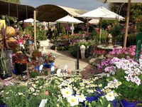 Serenity Nursery