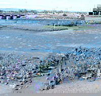 Jervois Basin Ships' Graveyard - Attractions Melbourne