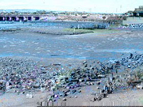 Jervois Basin Ships' Graveyard - Attractions Melbourne 0
