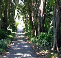Adelaide Botanic Garden - Attractions Melbourne