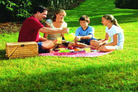  Attractions Melbourne