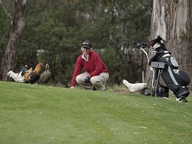Tasmania Golf Club - The - Attractions Melbourne 0