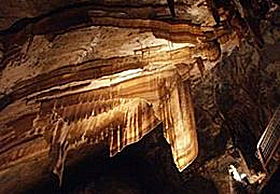 Gunns Plains Cave - Attractions Melbourne 0