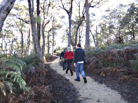  Attractions Melbourne
